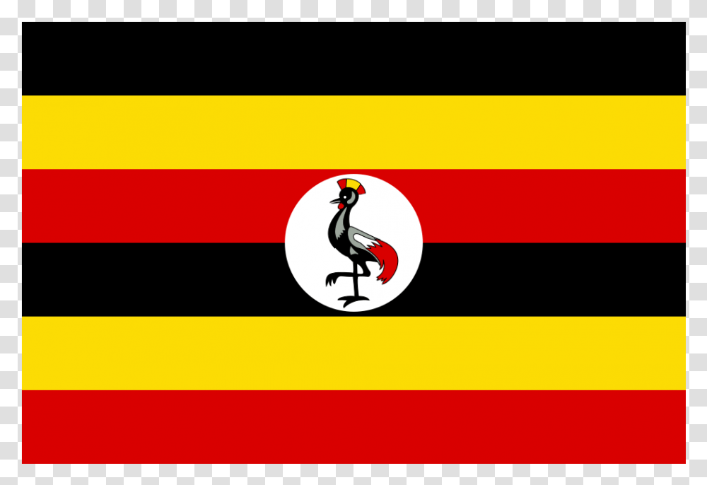 Uganda Flag, Penguin, Animal Transparent Png