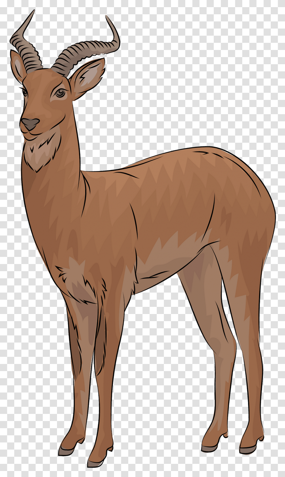 Uganda Kob Antelope Clipart Animal Figure, Mammal, Wildlife, Deer Transparent Png