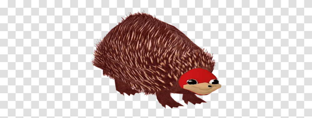 Ugandan Knuckles Doyouknowdawhey Twitter Soft, Animal, Fish, Bird, Sea Life Transparent Png