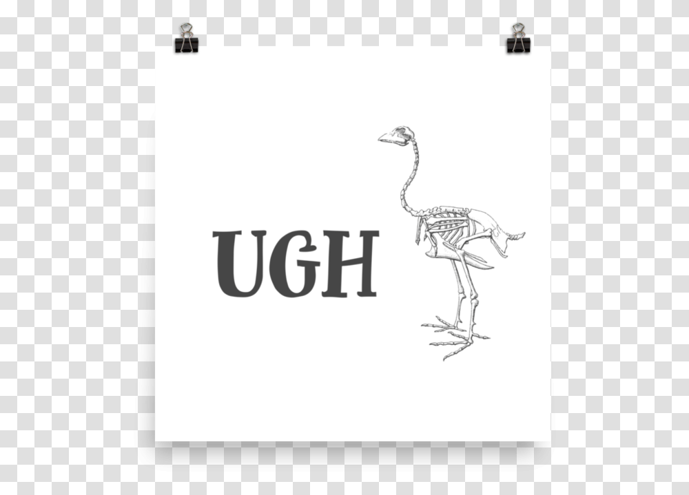 Ugh PosterSrcset Data Poster, Bird, Animal, Ostrich, Antelope Transparent Png
