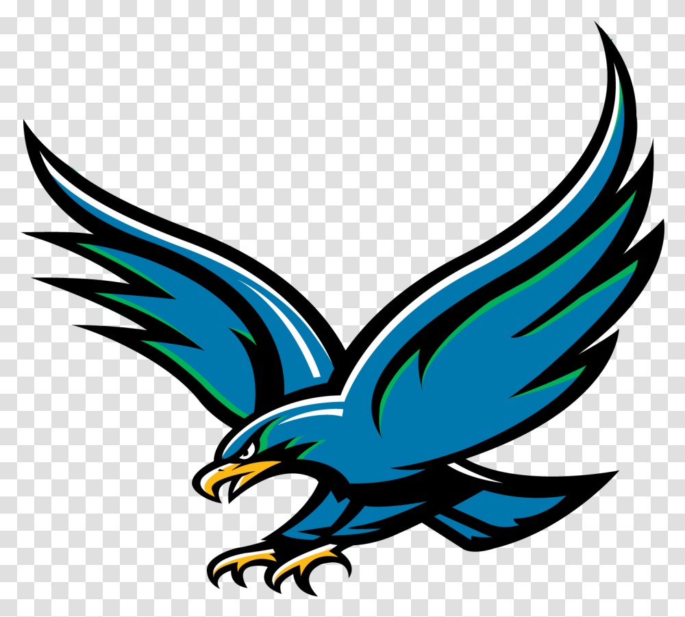 Uhcl Hawk, Bird, Animal, Jay, Blue Jay Transparent Png