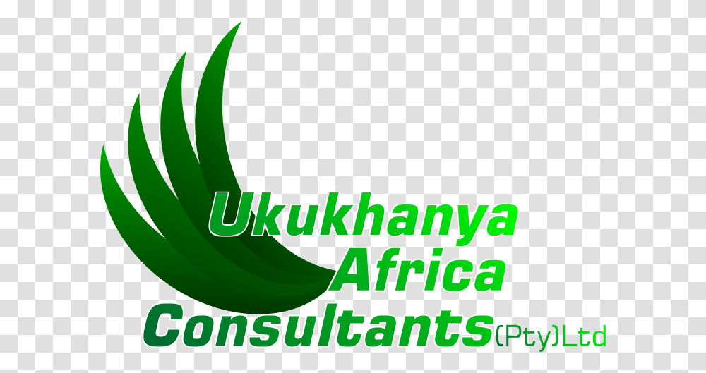 Ukukhanya Logo Design Graphic Design, Plant, Potted Plant, Vase Transparent Png