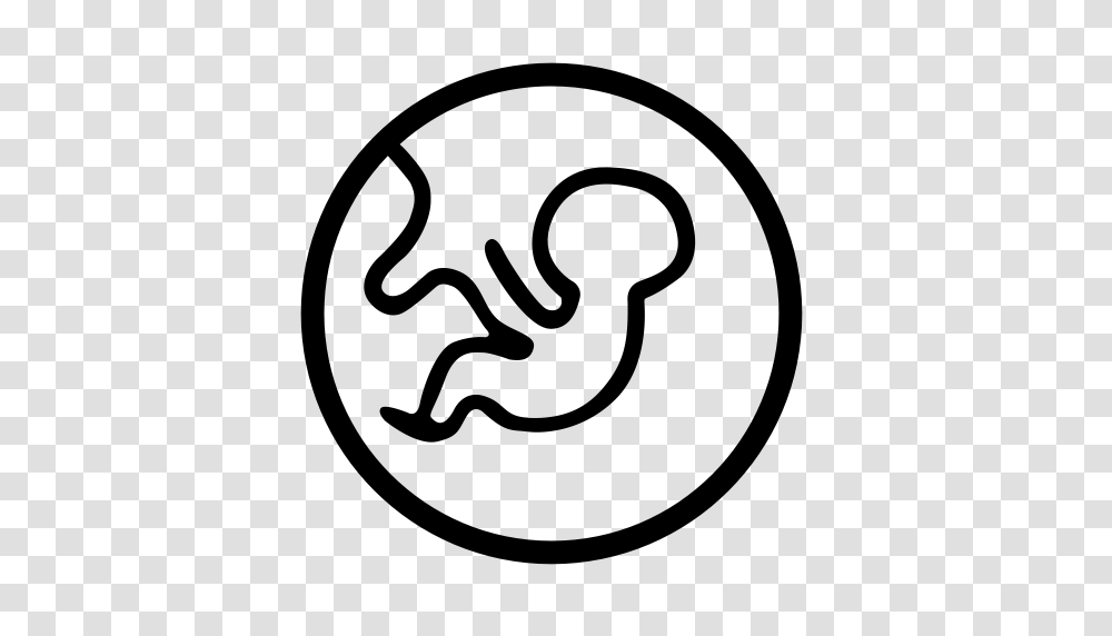 Ultrasound Fmy Ultrasound Department Icon With And Vector, Gray, World Of Warcraft Transparent Png