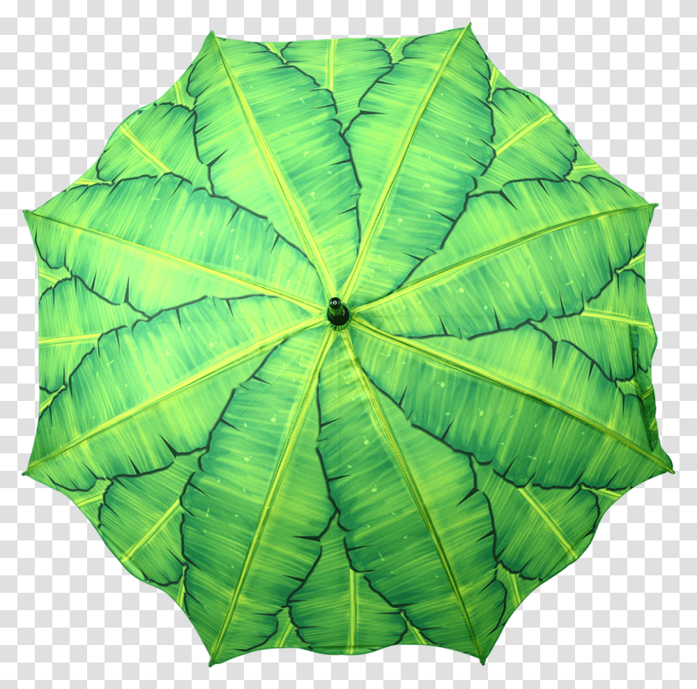Umbrella Banana Leaves Umbrella, Leaf, Plant, Veins, Flower Transparent Png