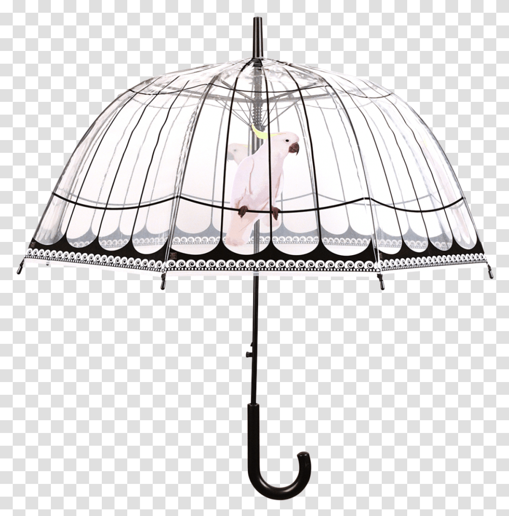 Umbrella Birdcage Umbrella, Lamp, Lampshade, Person, Human Transparent Png