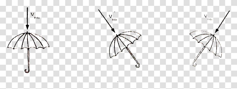 Umbrella, Canopy, Insect, Invertebrate, Animal Transparent Png