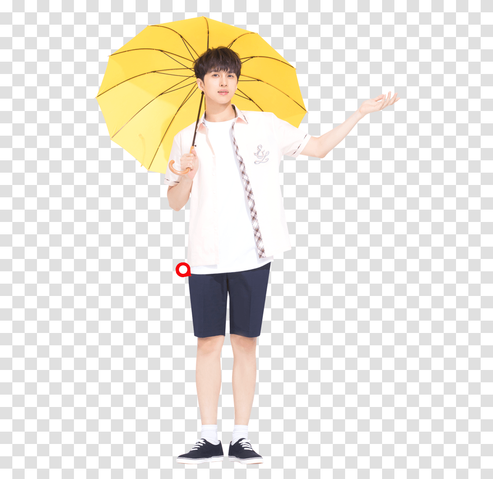 Umbrella, Person, Costume, Female Transparent Png