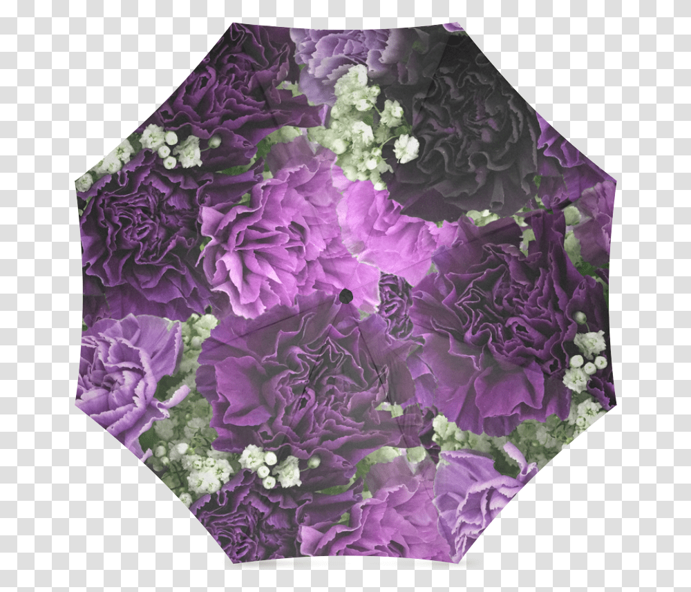 Umbrella, Plant, Purple Transparent Png