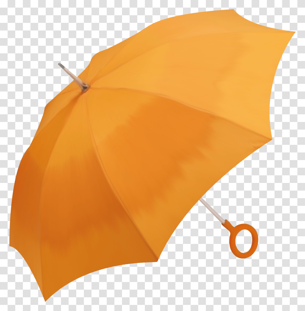 Umbrella, Tent, Canopy, Key, Security Transparent Png