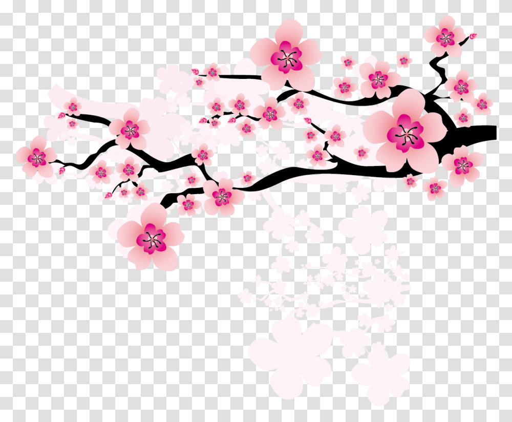 Ume Blossom Clipart Apricot Blossom Apricot Blossom Vector, Plant, Flower, Cherry Blossom Transparent Png