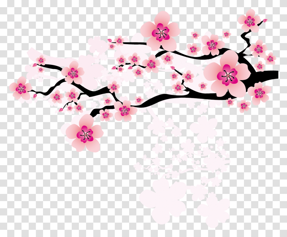 Ume Blossom Clipart Apricot Japanese Cherry Sakura Flower, Plant, Cherry Blossom, Pattern, Graphics Transparent Png