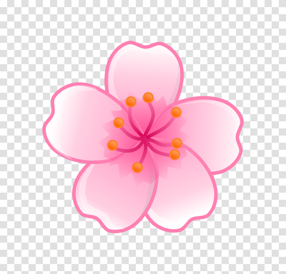 Ume Blossom Clipart Cartoon, Plant, Flower, Anther, Petal Transparent Png
