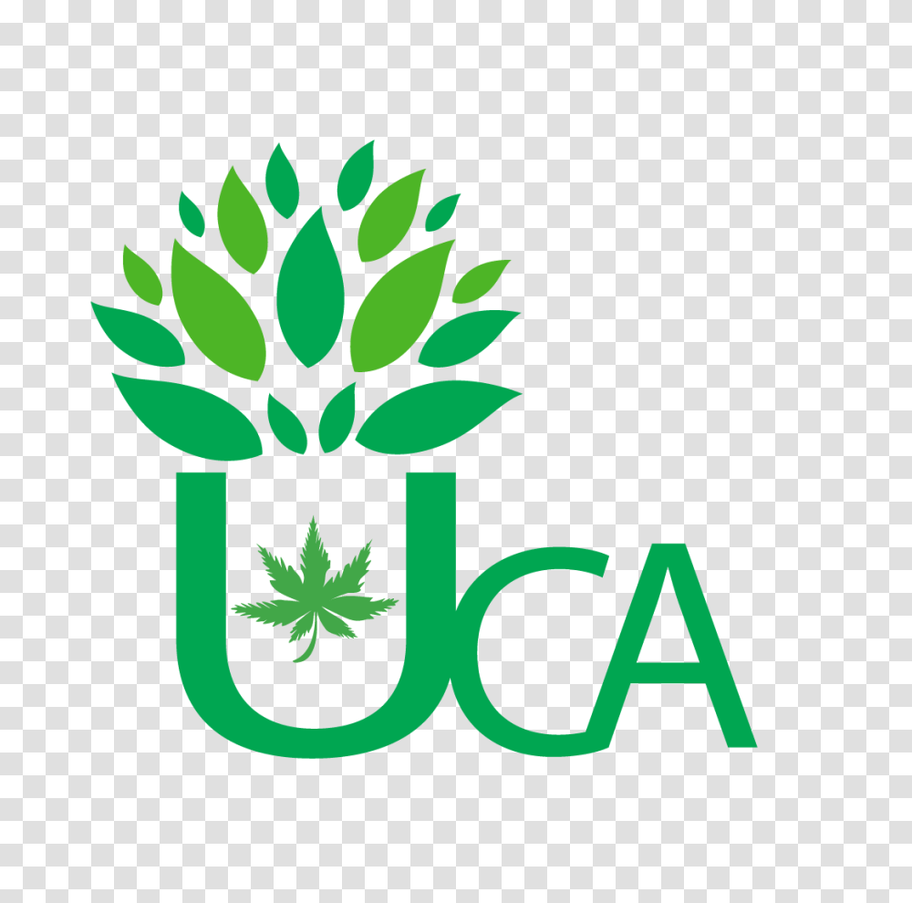 Umpqua Cannabis Association, Plant, Leaf, Vegetation Transparent Png