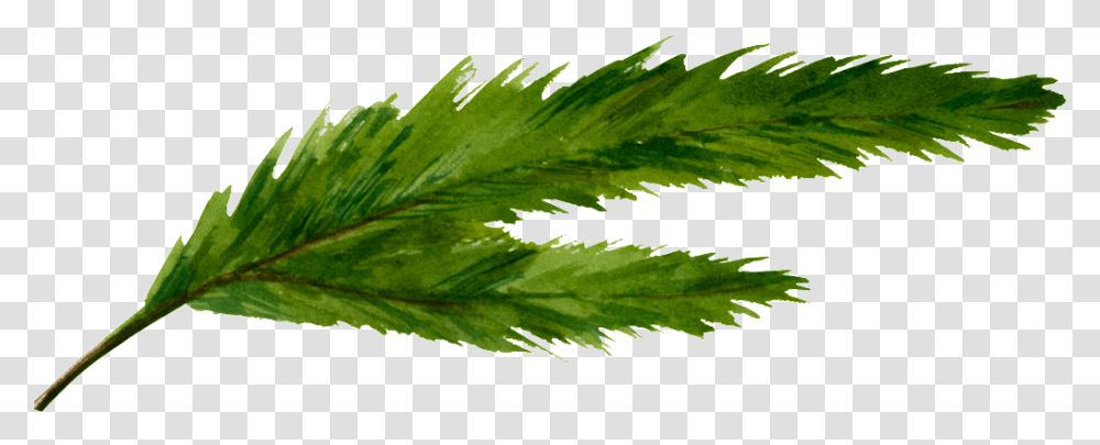 Un Green Split Leaf Transparente Cannabis, Plant, Potted Plant, Vase, Jar Transparent Png