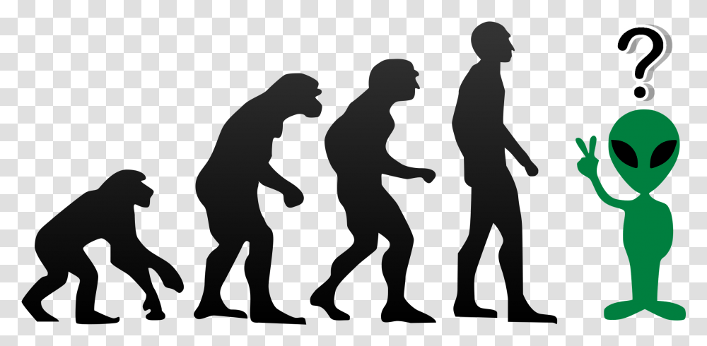 Unadapted Us How We've Been Screwed By Evolution Evolution Of Man 4 Stages, Silhouette, Person, People, Bird Transparent Png