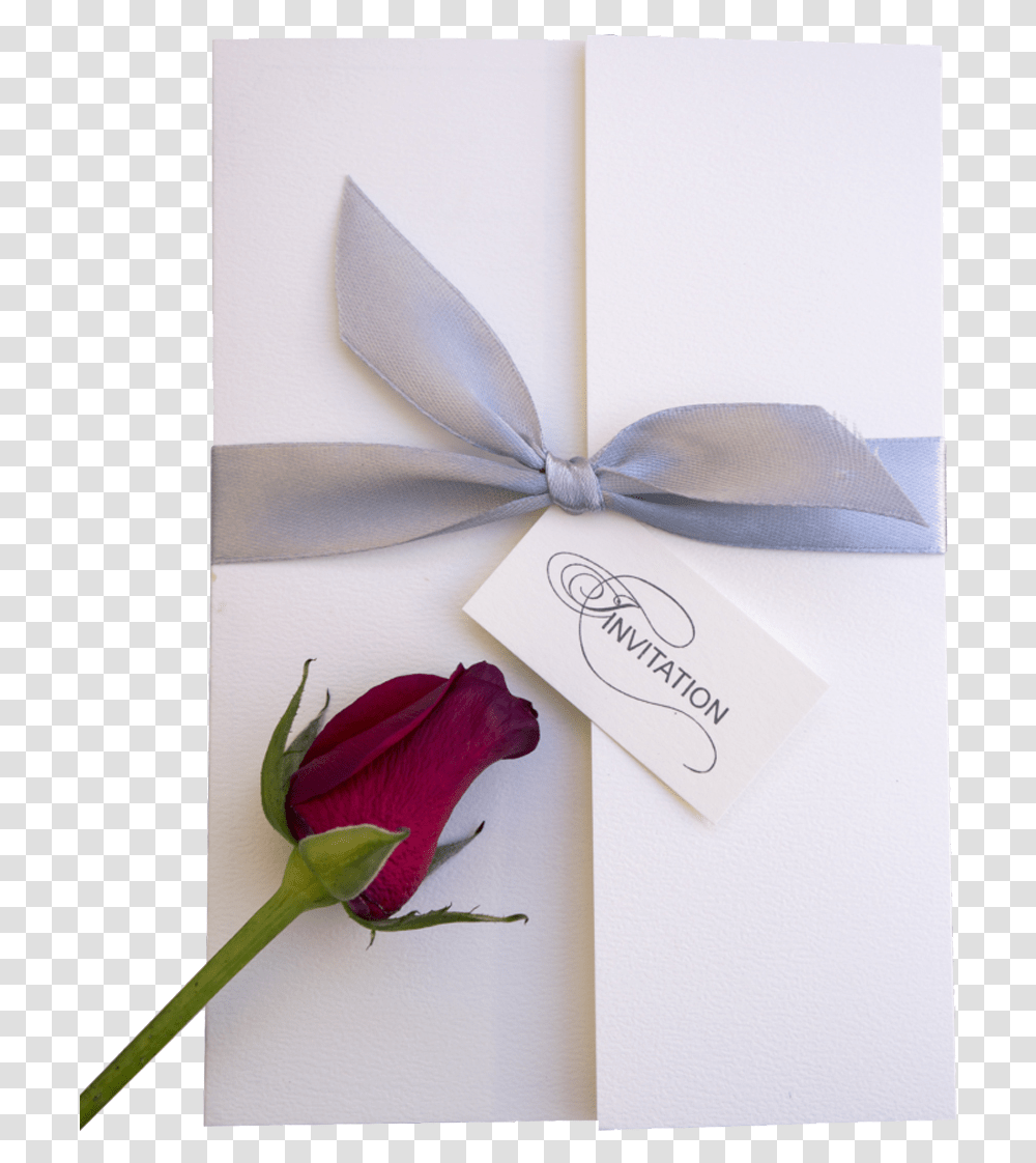 Undangan Pernikahan Mawar Merah, Plant, Petal, Flower, Blossom Transparent Png