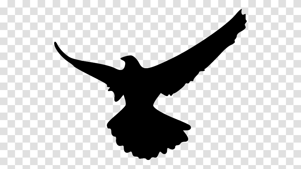 Under The Shadow Of Gods Wings Daily Meditation, Silhouette, Flying, Bird, Animal Transparent Png