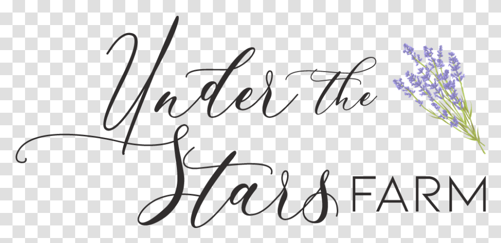 Under The Stars Farm Calligraphy, Handwriting, Bow, Letter Transparent Png