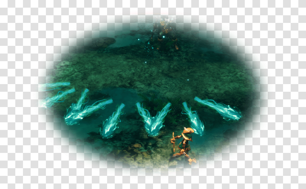 Under Water, Fish, Animal, Aquatic, Nature Transparent Png