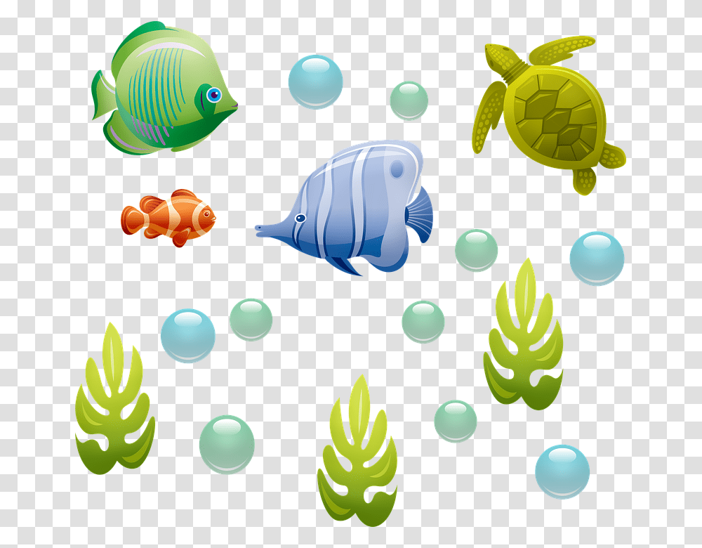 Underwater Bubbles, Sea Life, Animal, Invertebrate, Fish Transparent Png