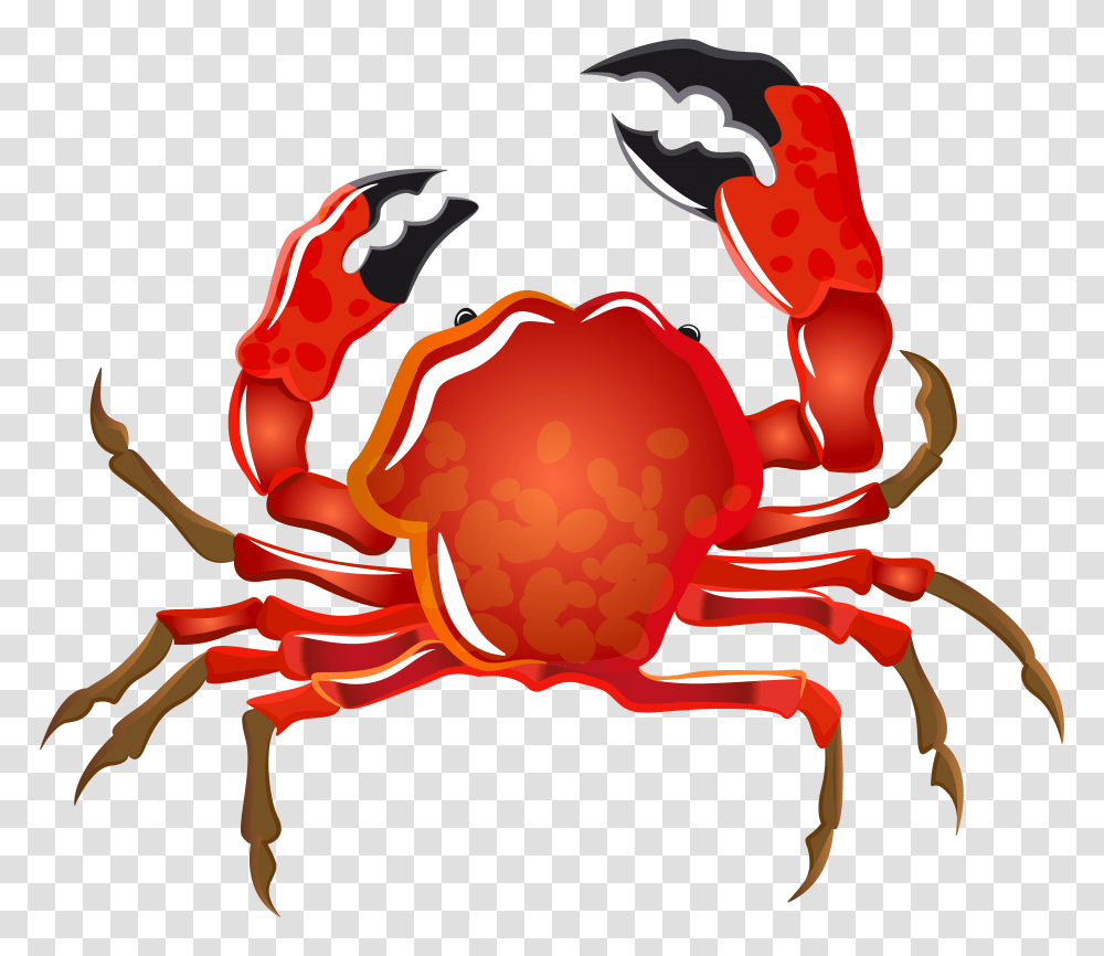 Underwater Crab Clipart Explore Pictures, Food, Seafood, Sea Life, Animal Transparent Png