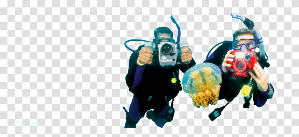 Underwater Diving Photo Arts, Person, Outdoors, Sea Life, Animal Transparent Png
