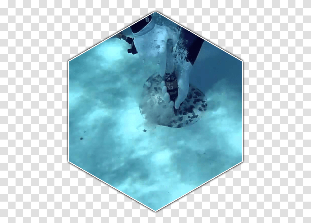Underwater Download Underwater Pool Patch, Outdoors, Nature, Halo, Sport Transparent Png