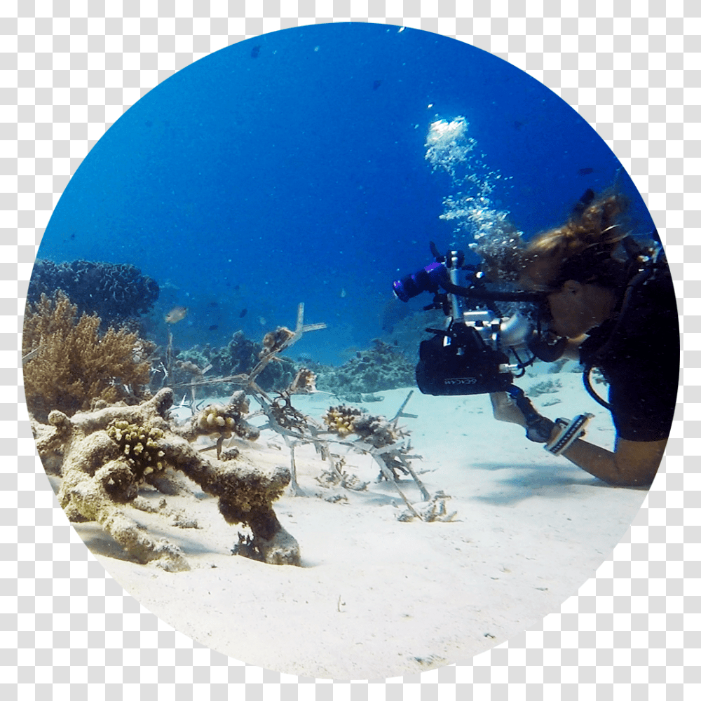 Underwater, Outdoors, Person, Nature, Sport Transparent Png