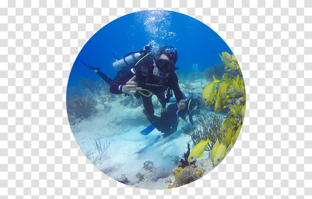 Underwater, Outdoors, Person, Sport, Diving Transparent Png