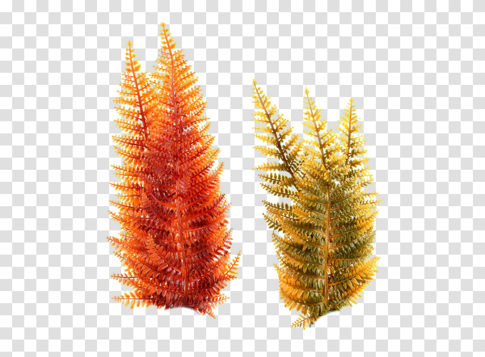 Underwater Plants Sea Plants Free Graphics Photoshop Under Water Plants, Leaf, Tree, Pineapple, Fruit Transparent Png