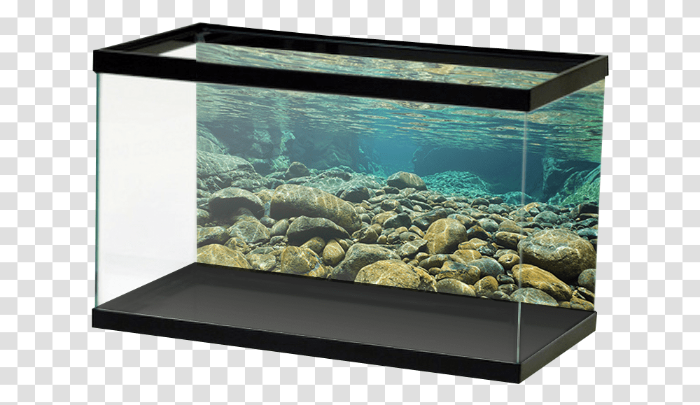 Underwater Underwater Rocks, Screen, Electronics, Monitor, Sea Transparent Png