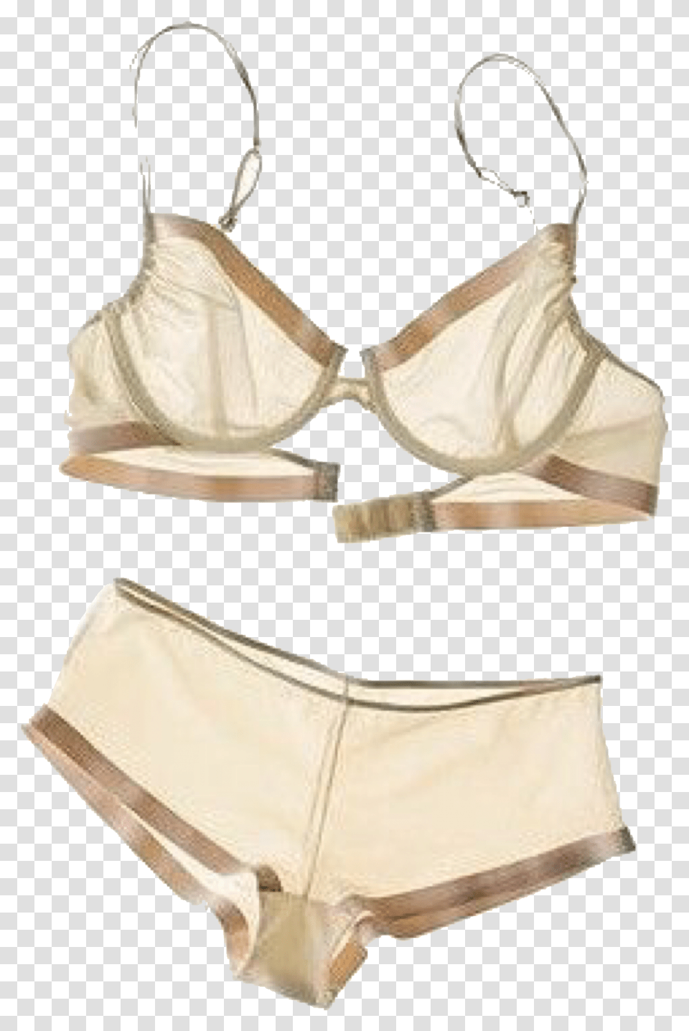 Underwear, Apparel, Lingerie, Bra Transparent Png