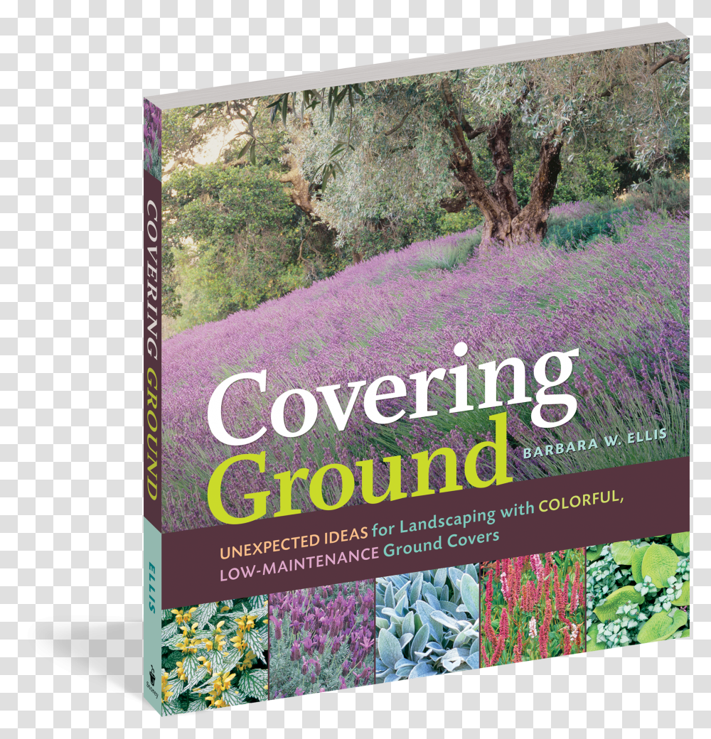 Unexpected Ideas For Landscaping With Covering Ground Transparent Png