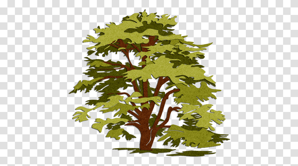 Unforgettable Cliparts Lebanon Cedar Tree Clipart 26 Landscape And Hardscape Logos, Plant, Leaf, Rug, Maple Transparent Png