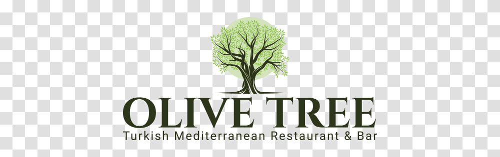 Unforgettable Memories From Europe Journey Olive Tree Fiction, Plant, Vegetation, Root, Outdoors Transparent Png