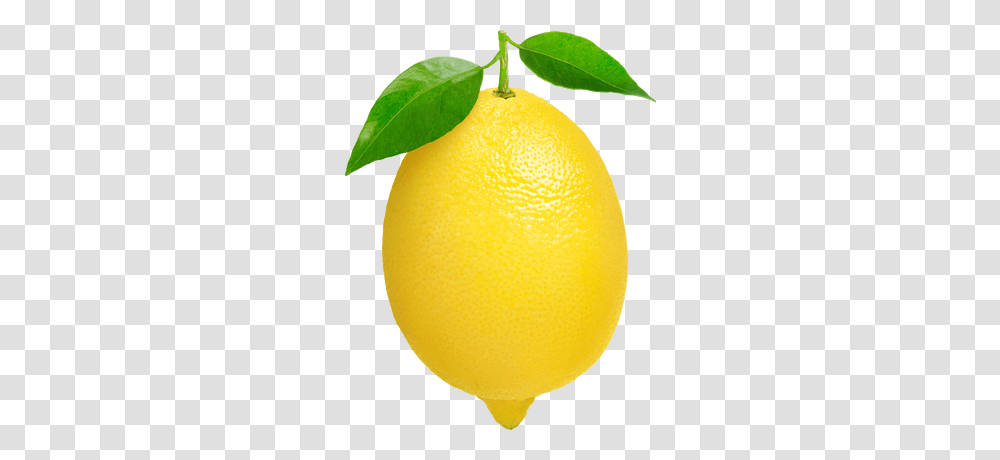 Unico Transparente, Citrus Fruit, Plant, Food, Lemon Transparent Png