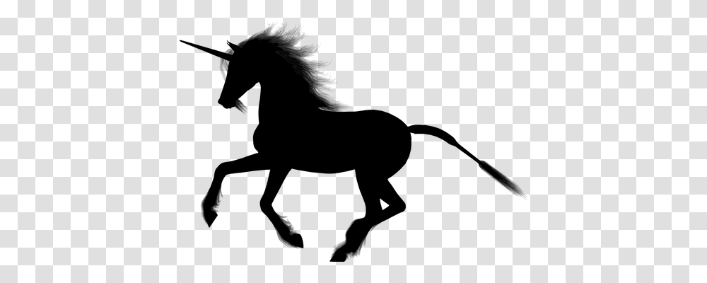 Unicorn Transport, Gray, World Of Warcraft Transparent Png