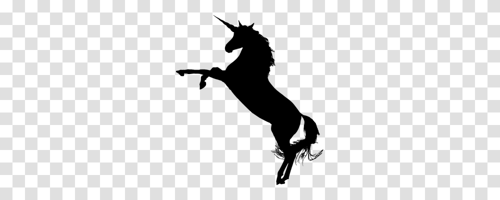 Unicorn Transport, Gray, World Of Warcraft Transparent Png