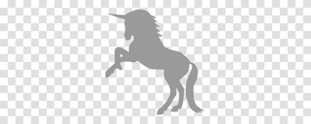 Unicorn Animals, Horse, Mammal, Foal Transparent Png