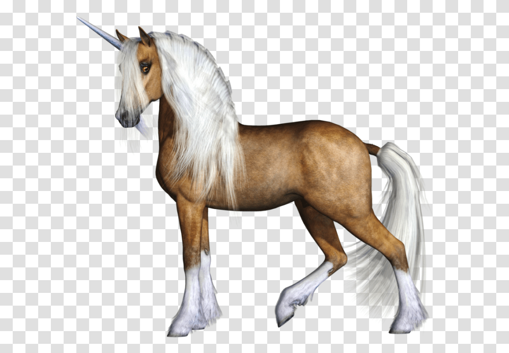 Unicorn Clipart Realistic Unicorn Images Background, Horse, Mammal, Animal, Stallion Transparent Png