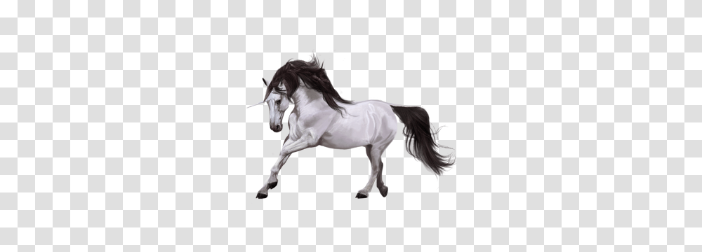 Unicorn, Fantasy, Andalusian Horse, Mammal, Animal Transparent Png