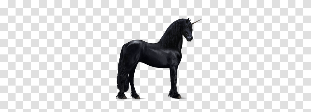 Unicorn, Fantasy, Andalusian Horse, Mammal, Animal Transparent Png