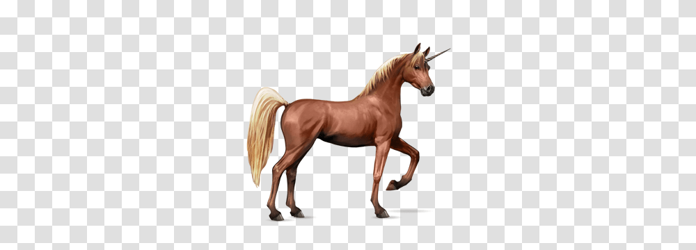 Unicorn, Fantasy, Colt Horse, Mammal, Animal Transparent Png