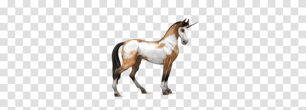 Unicorn, Fantasy, Colt Horse, Mammal, Animal Transparent Png