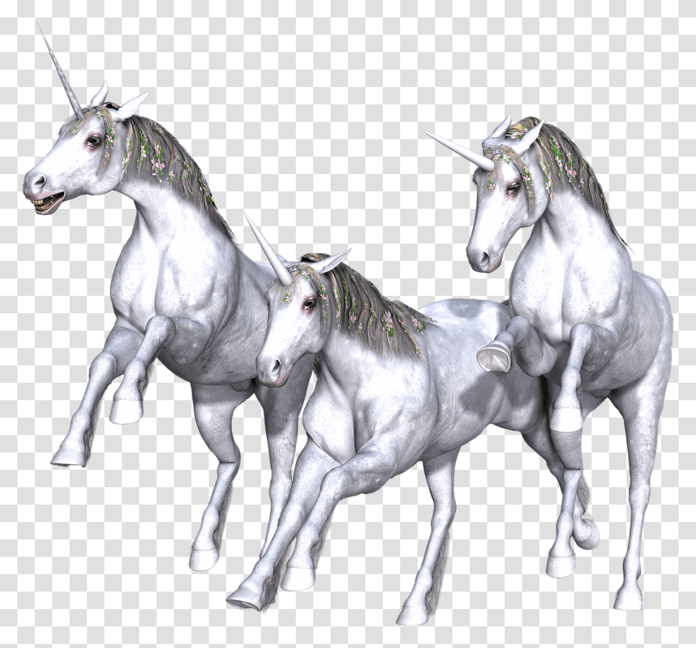Unicorn Fantasy Fairy Tale White Mythology Horned Background Fantasy, Horse, Mammal, Animal, Silver Transparent Png
