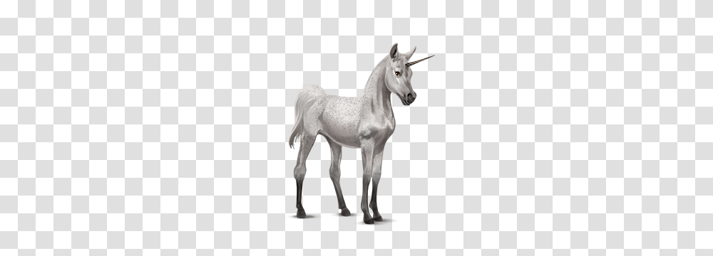 Unicorn, Fantasy, Foal, Horse, Mammal Transparent Png