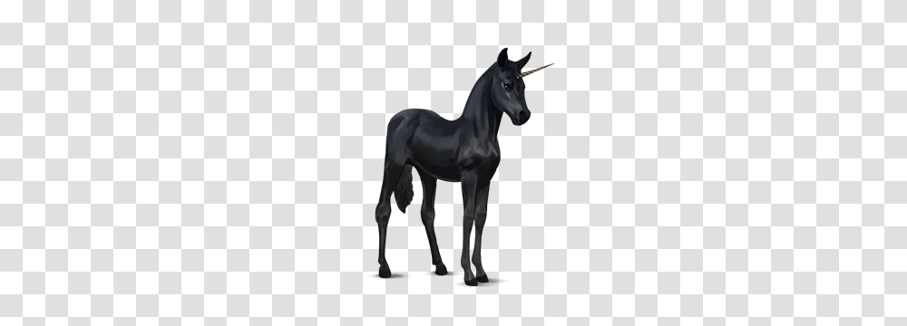 Unicorn, Fantasy, Foal, Horse, Mammal Transparent Png