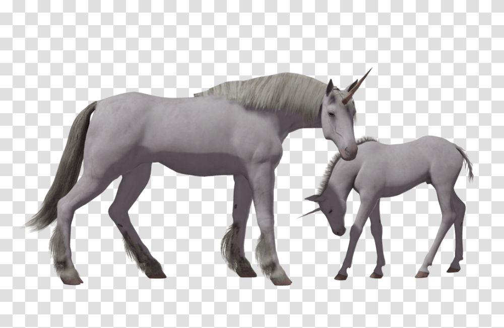 Unicorn, Fantasy, Foal, Horse, Mammal Transparent Png