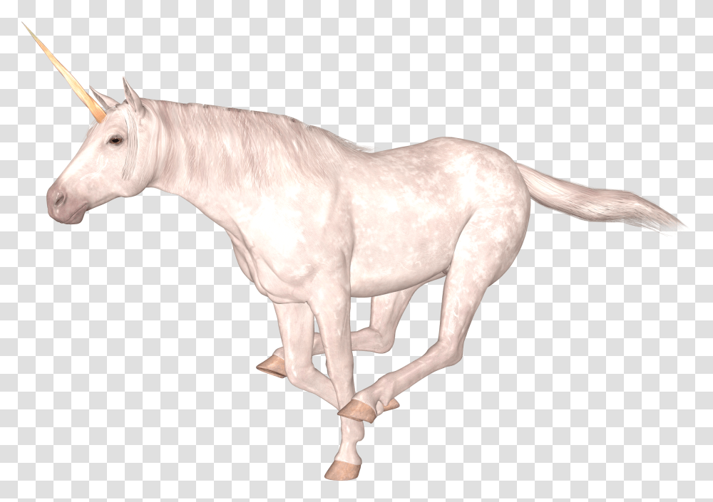 Unicorn, Fantasy, Horse, Mammal, Animal Transparent Png