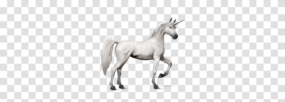 Unicorn, Fantasy, Horse, Mammal, Animal Transparent Png